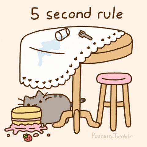 five-second-rule gif