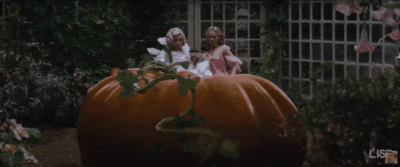 cinderella magic pumpkin_budget to bid ratio