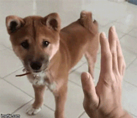facebook ppc high five
