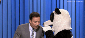 Jimmy Fallon Panda Secret Gif