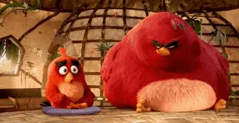 angry birds gif