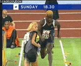 halt gif