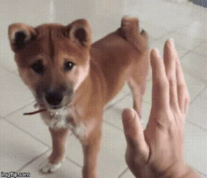 High Five gif