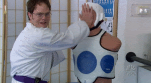 karate master gif