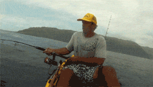 reel em in gif