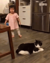 trip baby gif