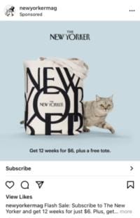 38 New Yorker Instagram ad