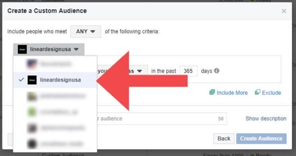 Instagram business profile Custom Audience