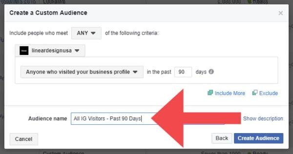 Instagram Engagement Custom Audience
