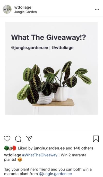 instagram giveaway example