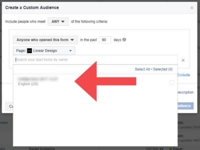 Lead Form Engagement Custom Facebook Audience