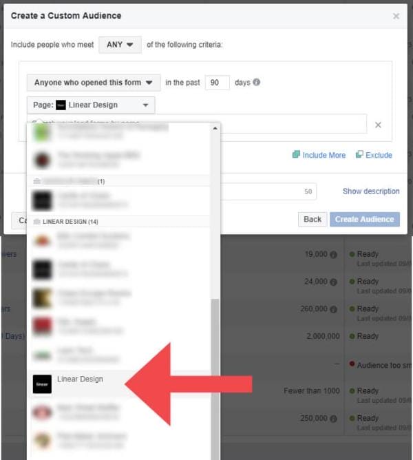 Lead Form from Facebook Page Custom Facebook Audience