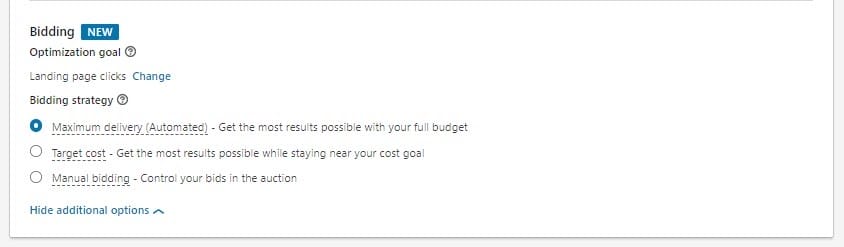 New Linkedin Ads bidding options
