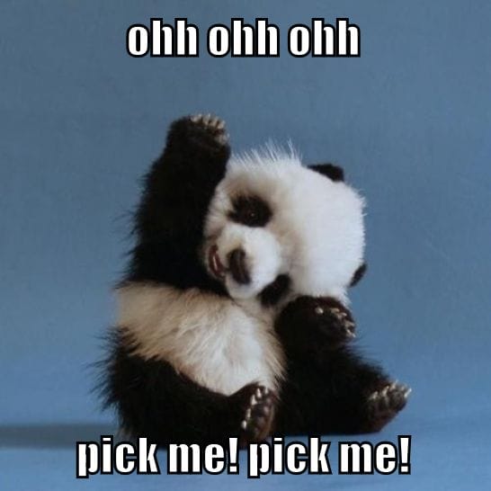 ohh ohh ohh pick me pick me