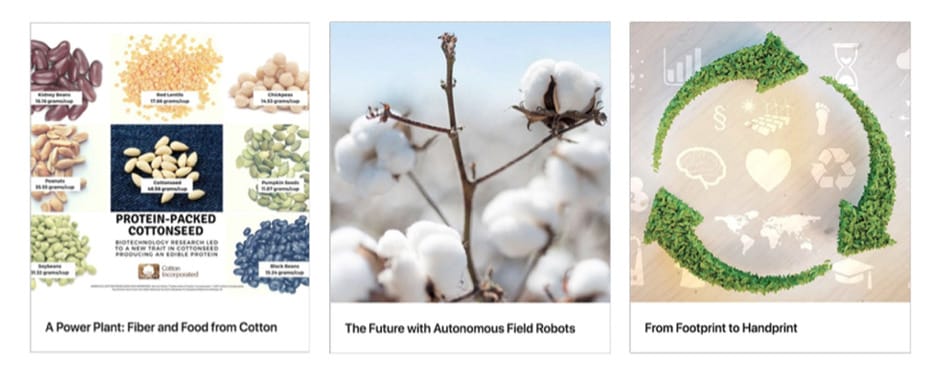 Cotton LinkedIn ad example carousel ad