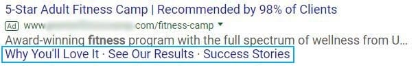 sitelink ad extension example 2