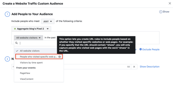 custom audience of landing page visitors
