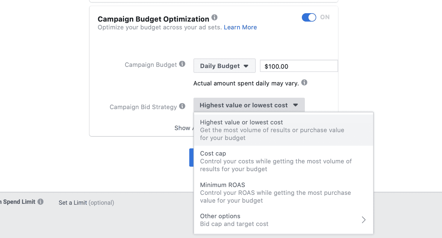facebook bidding strategy