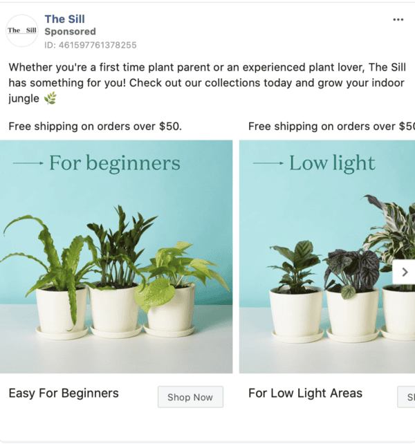 the sill facebook ad